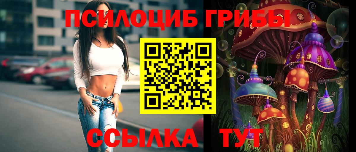 Галлюциногенные грибы Psilocybine cubensis  Псилоцибиновые грибы ЛСД  Вход с VPN  Чехов 